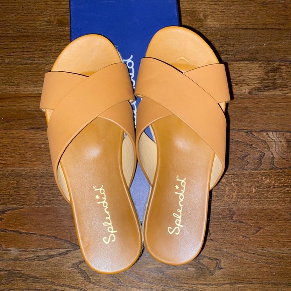 Splendid Slides - Picture 2 of 3